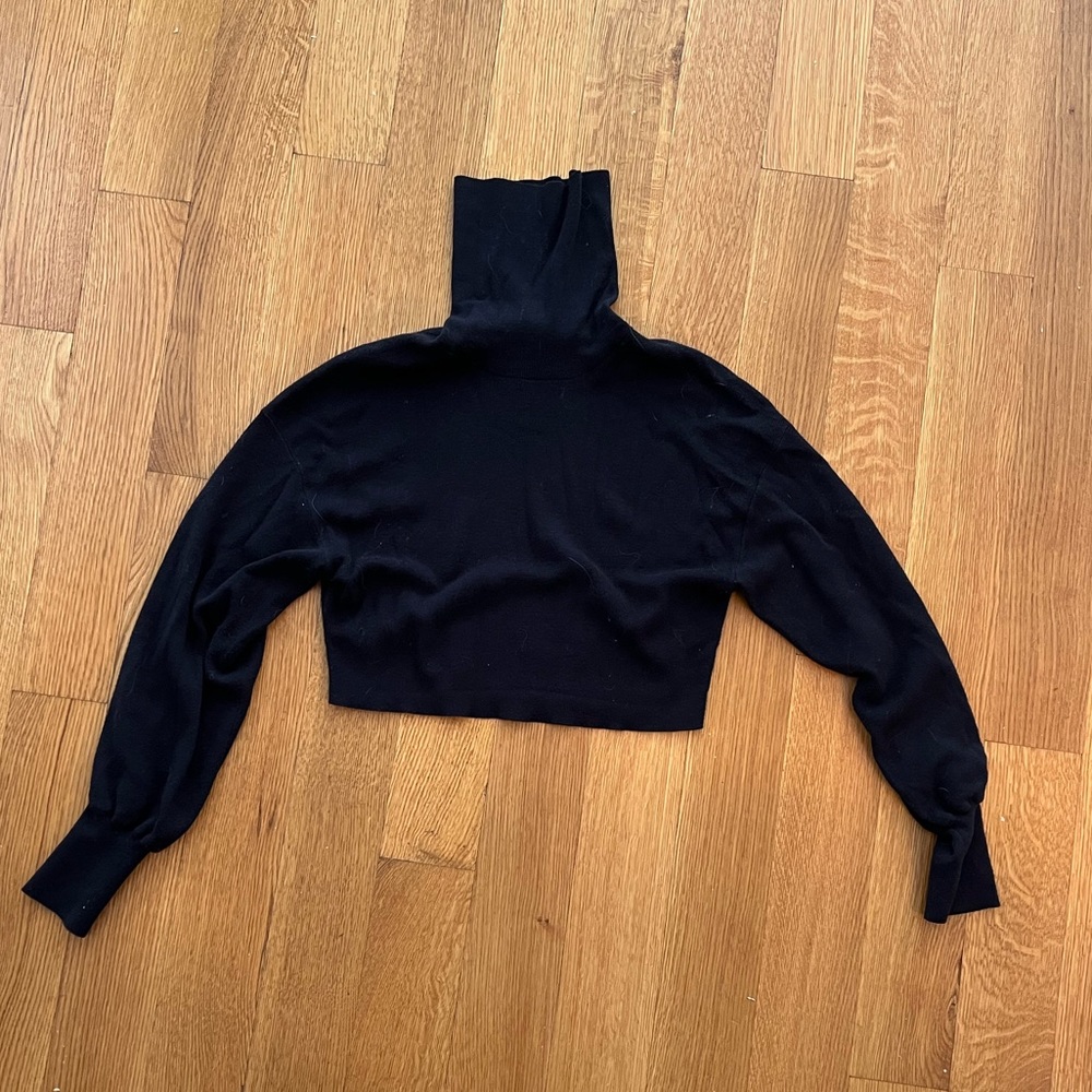 ARITZIA CROPPED WOOL TURTLENECK